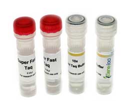 Gene-Foci? Taq Taq Plus DNA聚合酶 GF1032