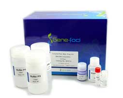 All-in-One組織細(xì)胞DNA/RNA分提試劑盒 GF2710