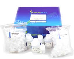 RNAblood 超純?nèi)俁NA快速提取試劑盒 GF2717